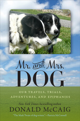 Mr And Mrs Dog Our Travels Trials Adventures And Epiphanies Donald Mccaig