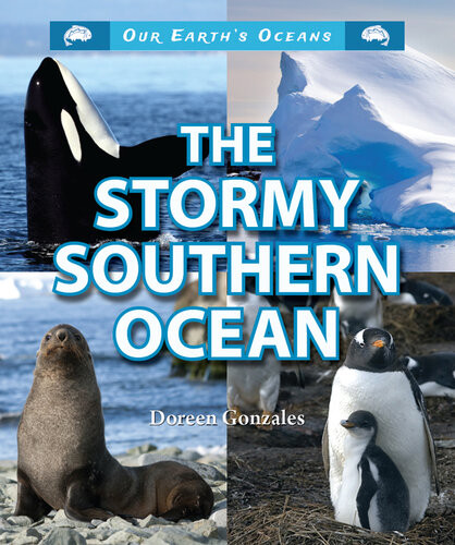 The Stormy Southern Ocean Doreen Gonzales