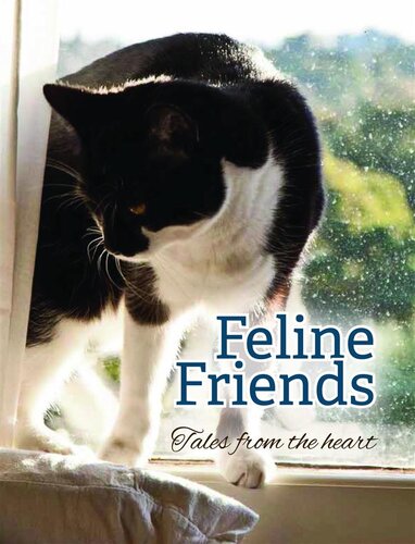Feline Friends Tales From The Heart 1st Edition Cat Protection Society Of Nsw