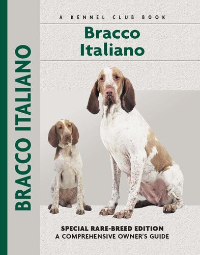 Bracco Italiano Special Rarebreed Edition Juliette Cunliffe