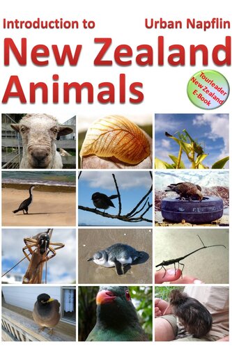 Introduction To New Zealand Animals Urban Napflin