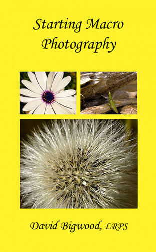 Starting Macro Photography David Bigwood
