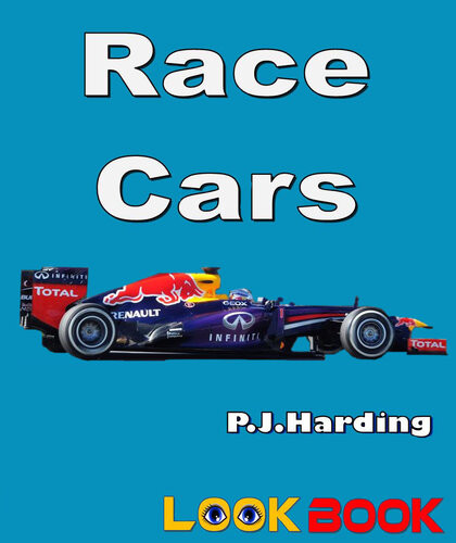 Race Cars A Look Book Easy Reader Pjharding