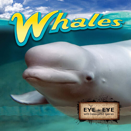 Whales Tom Greve