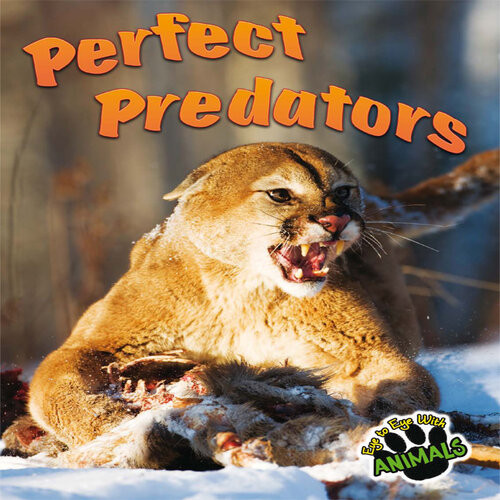 Perfect Predators Joanne Mattern