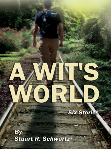 A Wits World Stuart R Schwartz