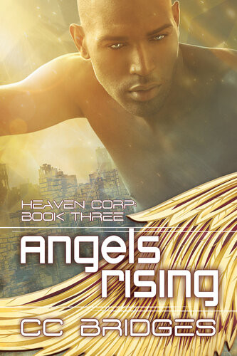 Angels Rising Cc Bridges