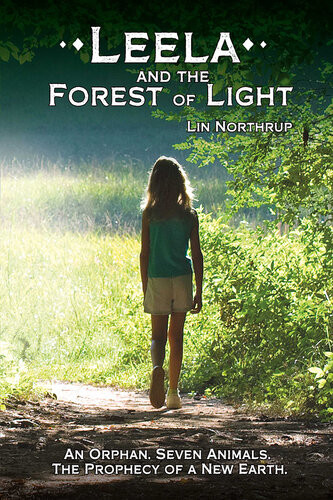 Leela And The Forest Of Light Lin Northrup