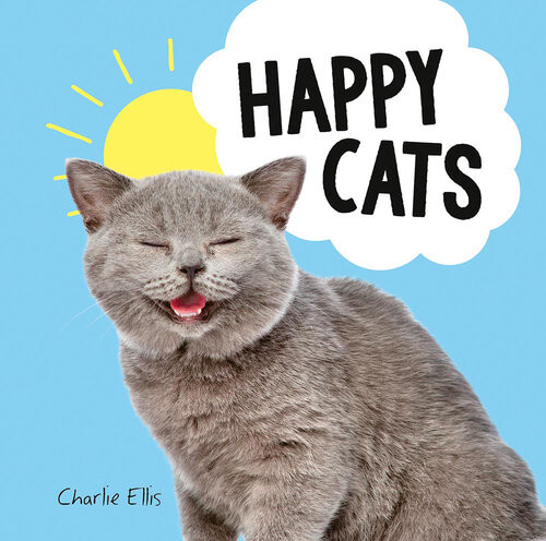 Happy Cats Photos Of Felines Feeling Fab Charlie Ellis
