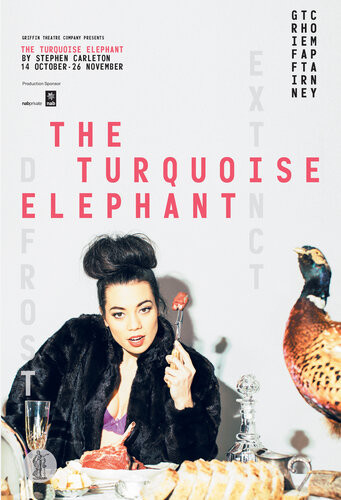 The Turquoise Elephant Stephen Carleton