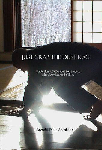 Just Grab The Dust Rag Confessions Of A Deluded Zen Student Who Never Learned A Thing Brenda Shoshanna