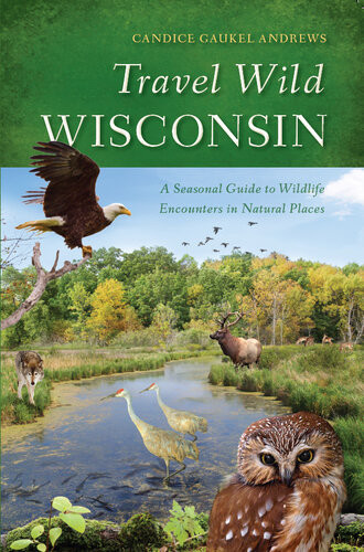 Travel Wild Wisconsin A Seasonal Guide To Wildlife Encounters In Natural Places Candice Gaukel Andrews