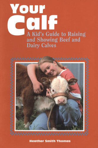 Your Calf A Kids Guide To Raising And Showing Beef And Dairy Calves Heather Smith Thomas