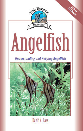 Angelfish Understanding And Keeping Angelfish David A Lass