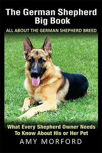 The German Shepherd Big Book What Every Shepherd Owner Needs To Know About His Or Her Pet Amy Morford