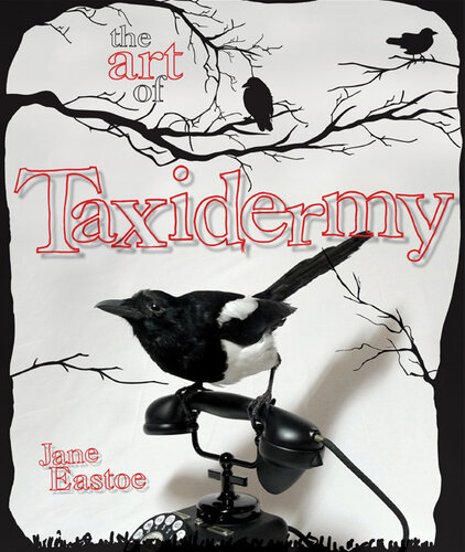 The Art Of Taxidermy Jane Eastoe