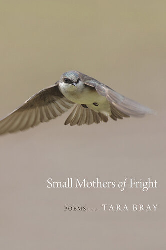 Small Mothers Of Fright Tara Bray
