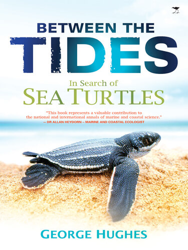 Between The Tides In Search Of Sea Turtles George Hughes