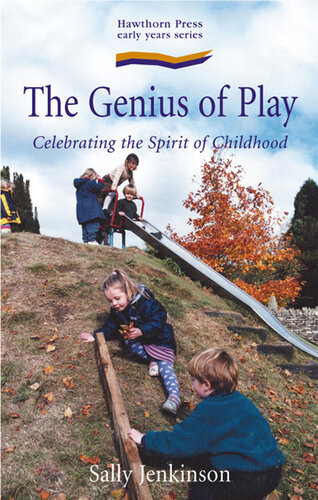 The Genius Of Play Celebrating The Spirit Of Childhood Sally Jenkinson