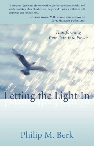 Letting The Light In Transforming Your Pain Into Power Philip M Berk