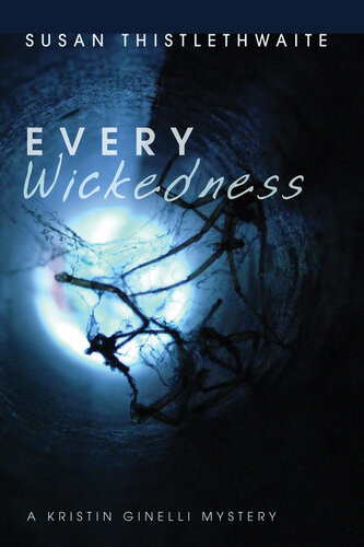 Every Wickedness Susan Thistlethwaite