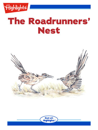 The Roadrunners Nest Jennifer Owings Dewey