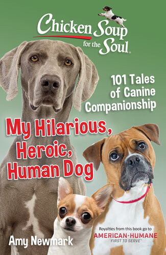 Chicken Soup For The Soul My Hilarious Heroic Human Dog 101 Tales Of Canine Companionship Amy Newmark
