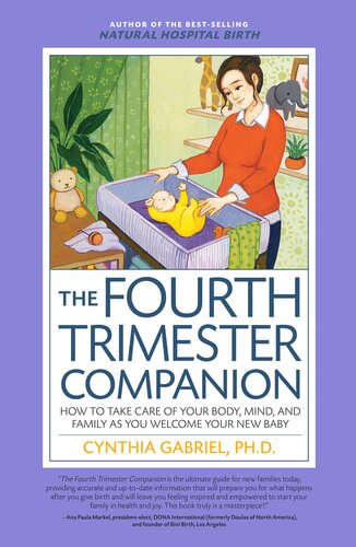 The Fourth Trimester Companion How To Take Care Of Your Body Mind And Family As You Welcome Your New Baby Cynthia Gabriel