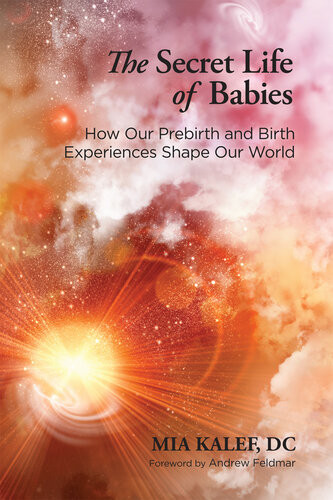 The Secret Life Of Babies How Our Prebirth And Birth Experiences Shape Our World Mia Kalef