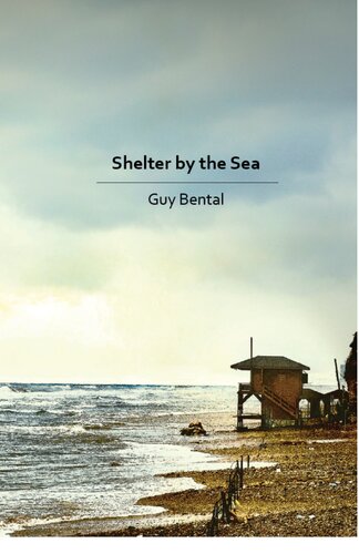 Shelter By The Sea Guy Bental