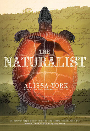 The Naturalist Alissa York