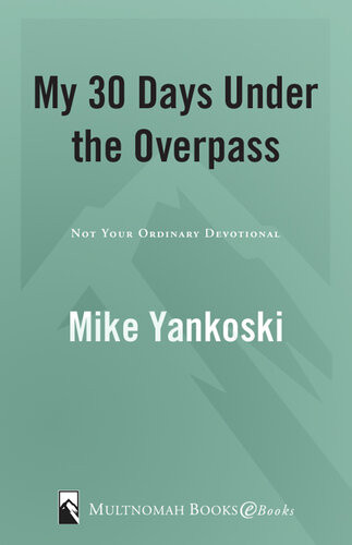 My 30 Days Under The Overpass Not Your Ordinary Devotional Mike Yankoski