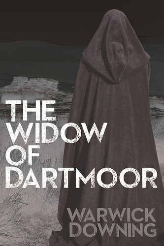 The Widow Of Dartmoor 1st Edition Warwick Downing