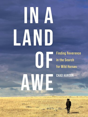 In A Land Of Awe Finding Reverence In The Search For Wild Horses Chad Hanson