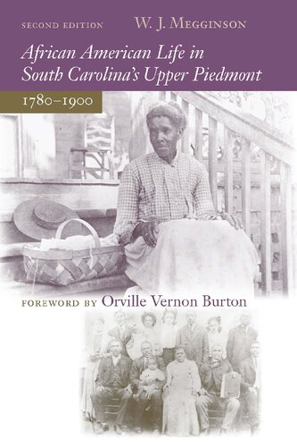African American Life In South Carolinas Upper Piedmont 17801900 2nd Edition W J Megginson