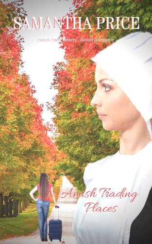 Amish Twin Hearts Boxed Set Samantha Price