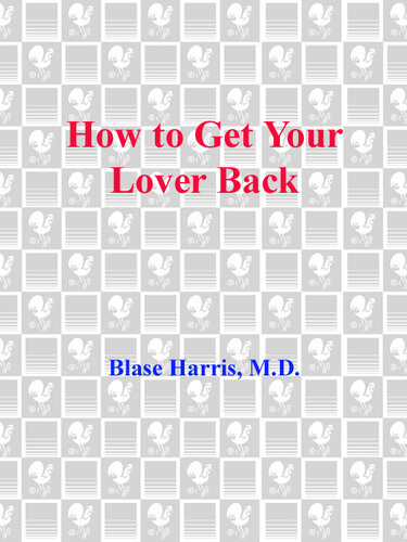 How To Get Your Lover Back Successful Strategies For Starting Over Making It Better Than It Was Before Blase Harris