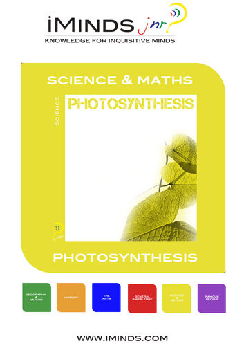 Photosynthesis Iminds