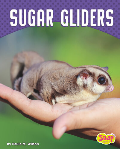 Sugar Gliders Paula M Wilson