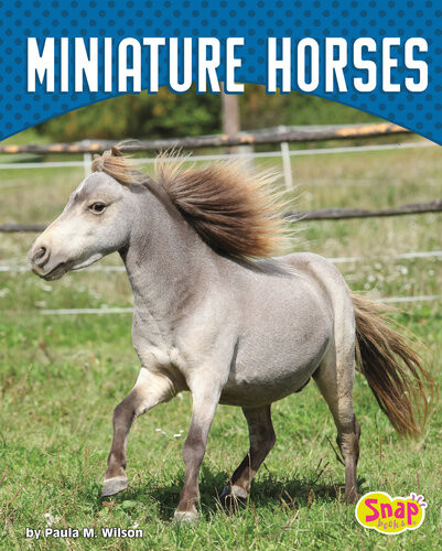 Miniature Horses Paula M Wilson