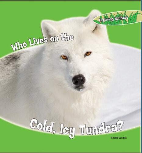Who Lives On The Cold Icy Tundra Rachel Lynette