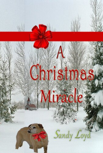 A Christmas Miracle Sandy Loyd