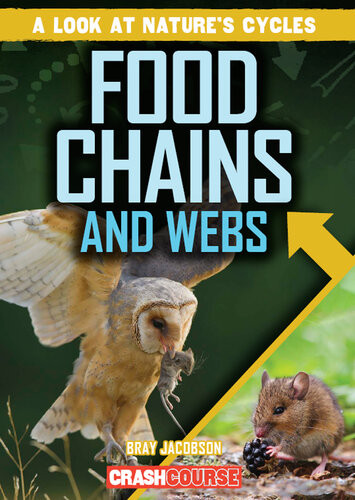 Food Chains And Webs Bray Jacobson