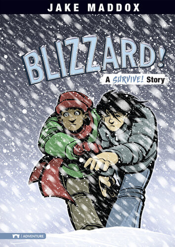 Blizzard A Survive Story Jake Maddox