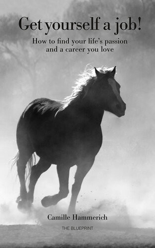 Get Yourself A Job How To Find Your Lifes Passion And A Career You Love Camille Hammerich