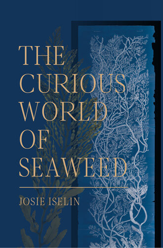 The Curious World Of Seaweed Josie Iselin