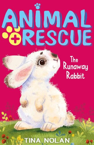 The Runaway Rabbit Tina Nolan