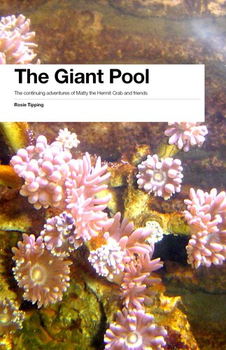 The Giant Pool The Continuing Adventures Of Matty The Hermit Crab And Friends Rosie Tipping