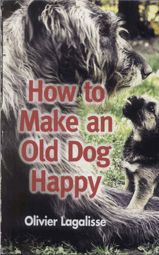 How To Make An Old Dog Happy Olivier Lagalisse