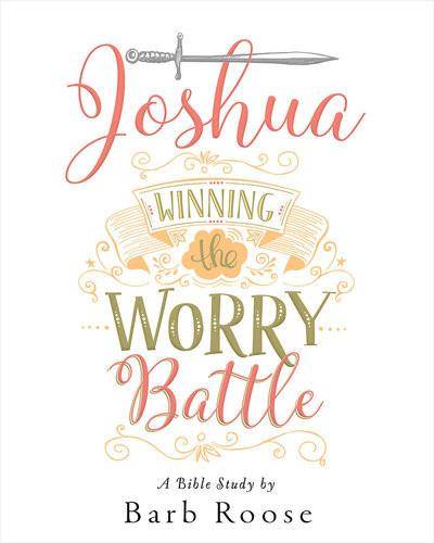 Joshuawomens Bible Study Participant Workbook Winning The Worry Battle Barb Roose
